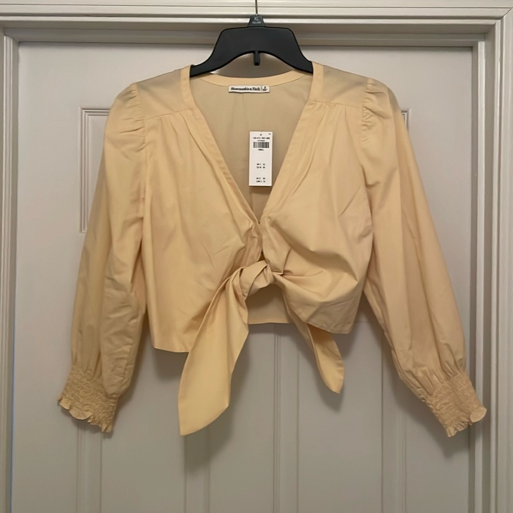 Abercrombie Cropped Blouse